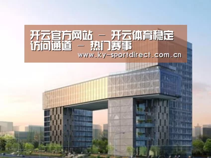 案例展示四