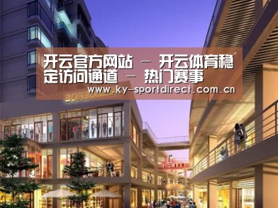 案例展示一